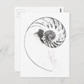 Nautilus Muschel 1 Postkarte (Vorne/Hinten)