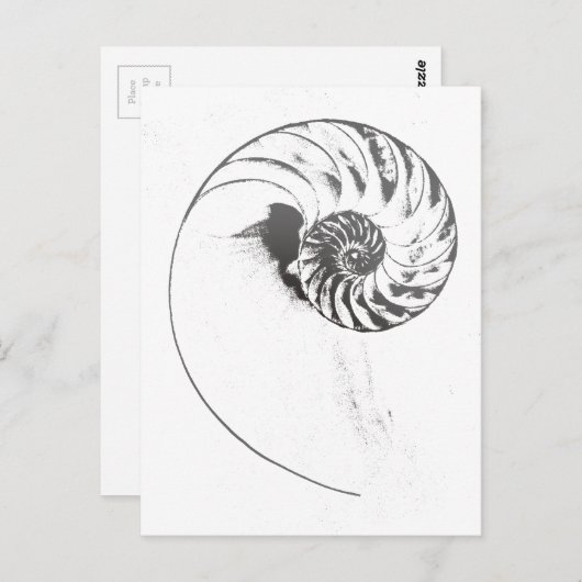 Nautilus Muschel 1 Postkarte (Vorne/Hinten)