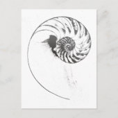 Nautilus Muschel 1 Postkarte (Vorderseite)