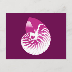 Nautilus-Muschel - Auberginen lila und weiß Postkarte