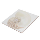 Nautilus-Muschel Fliese (Seite)