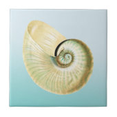 Nautilus-Muschel Fliese (Vorderseite)