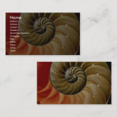 Nautilus-Muschel Foto Visitenkarte (Vorne/Hinten)