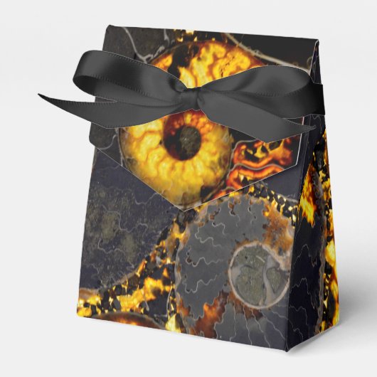 Nautilus-Muschel Geschenkschachtel (Vorderseite)