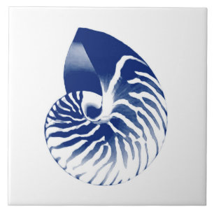 Nautilus-Muschel - Marineblau und -WEISS Fliese