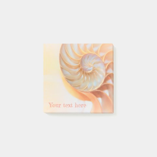 Nautilus-Muschel nach dem IT Post-it Klebezettel (Vorderseite)