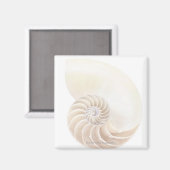 Nautilus-Muschel, nah Magnet (Vorderseite/Rückseite)