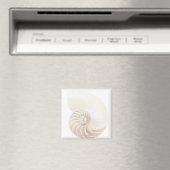 Nautilus-Muschel, nah Magnet (In Situ (Geschirrspüler))