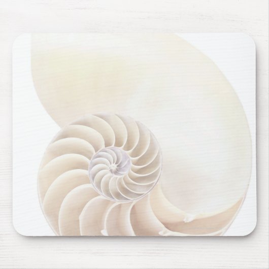 Nautilus-Muschel, nah Mousepad (Vorne)