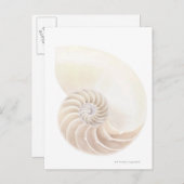 Nautilus-Muschel, Nahaufnahme Postkarte (Vorne/Hinten)