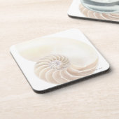 Nautilus-Muschel, Nahaufnahme Untersetzer (Linke Seite)