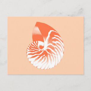 Nautilus-Muschel - orange und weiß Postkarte
