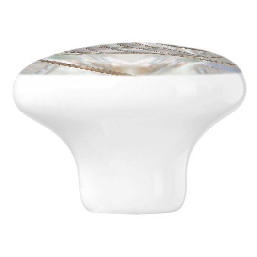 Nautilus-Muschel - Perlmutter und Goldmedaille Keramikknauf (Seitenansicht)