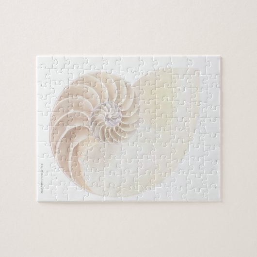 Nautilus-Muschel Puzzle (Horizontal)