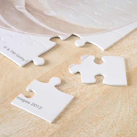 Nautilus-Muschel Puzzle (Seite)