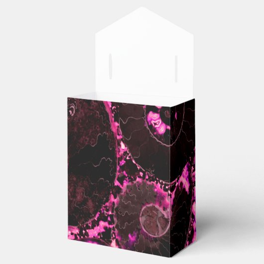 Nautilus-Muschel - rosa Design Geschenkschachtel (Geöffnet)