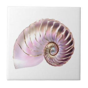 Nautilus-Muschel rosa Gold 3D Strand nautisch Fliese