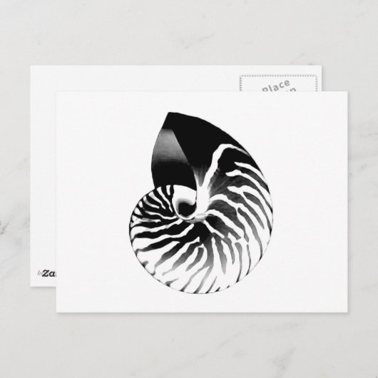 Nautilus-Muschel - schwarz, grau und weiß Postkarte (Vorne/Hinten)