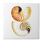 Nautilus Muschel Seashell no.8 Beach Deco Art Fliese (Vorderseite)
