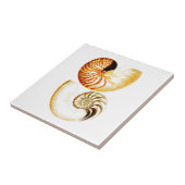 Nautilus Muschel Seashell no.8 Beach Deco Art Fliese (Seite)