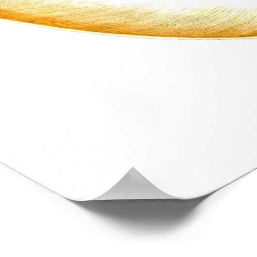 Nautilus Muschel Seashell no.8 Stranddekoration Ku Poster (Ecke)