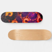 Nautilus-Muschel Skateboard (Horizontal)