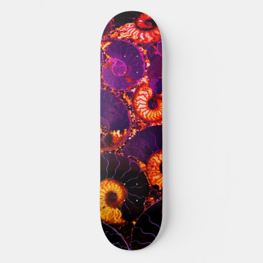 Nautilus-Muschel Skateboard (Vorderseite)