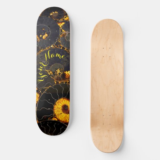 Nautilus-Muschel Skateboard (Vorderseite)