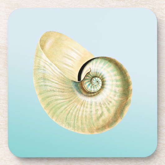 Nautilus-Muschel Untersetzer (Vorderseite)