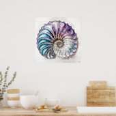 Nautilus Muschel Zeichnend - Kunstdruckerei Poster (Küche)