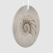 Nautilus-Muschel Zeichnend Ornament (Vorderseite)