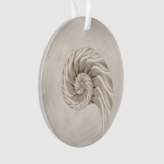 Nautilus-Muschel Zeichnend Ornament (Vorderseite)