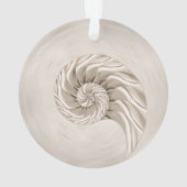 Nautilus-Muschel Zeichnend Ornament (Rückseite)