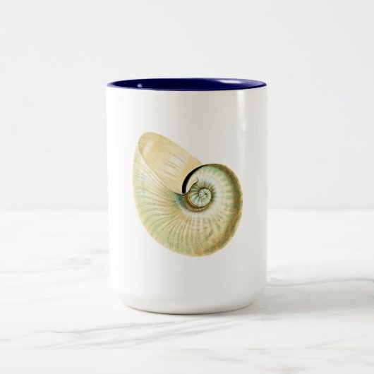 Nautilus-Muschel Zweifarbige Tasse (Mittel)