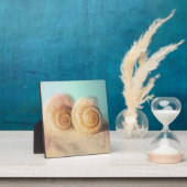 Nautilus-Muscheln am Strand Fotoplatte (InSitu)