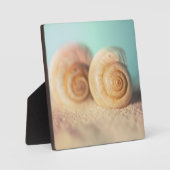 Nautilus-Muscheln am Strand Fotoplatte (Vorderseite)
