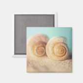 Nautilus-Muscheln am Strand Magnet (Vorderseite/Rückseite)