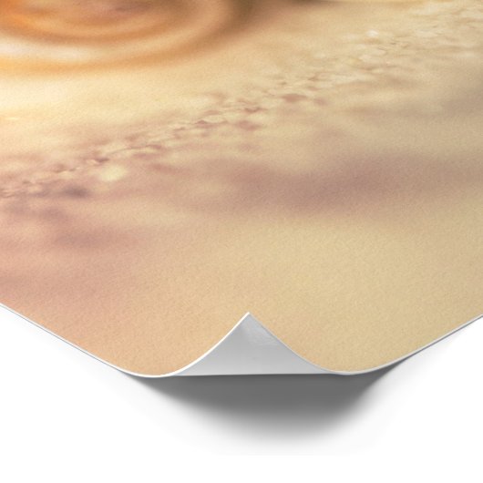 Nautilus-Muscheln am Strand Poster (Ecke)