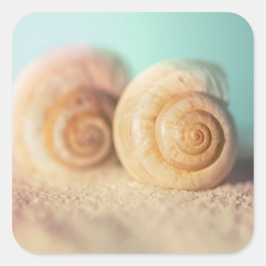 Nautilus-Muscheln am Strand Quadratischer Aufkleber (Vorderseite)