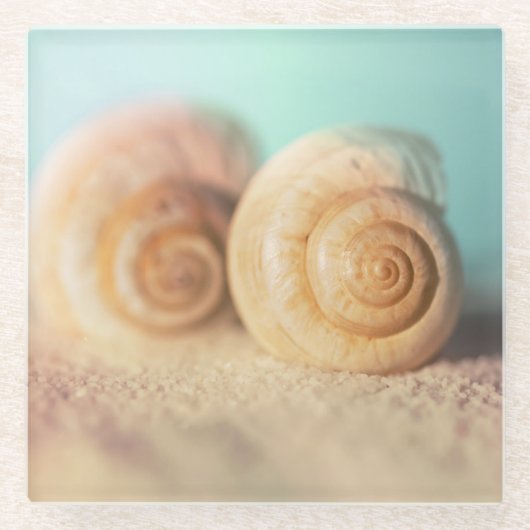 Nautilus-Muscheln auf Strand Glasuntersetzer (Vorderseite)