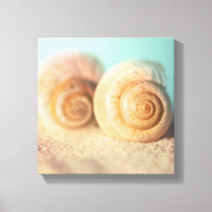 Nautilus-Muscheln auf Strand Leinwanddruck
