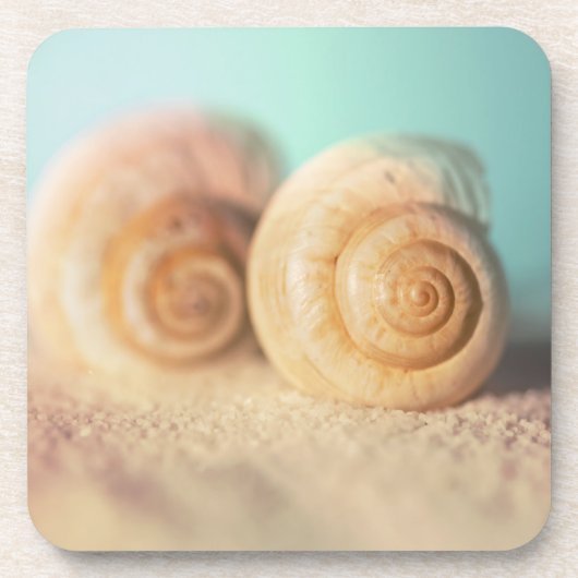 Nautilus-Muscheln auf Strand Untersetzer (Vorderseite)