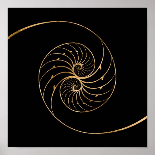 Nautilus-Muscheln - Goldenes Paar Poster (Vorne)