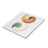 "NAUTILUS MUSCHELN" MEERESWELT KERAMIK TITEL FLIESE (Seite)