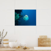 Nautilus Poster (Küche)