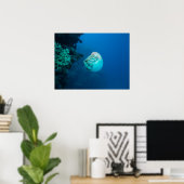 Nautilus Poster (Heimbüro)
