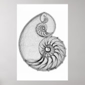 Nautilus Poster (Vorne)