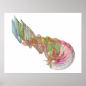 Nautilus Poster (Vorne)