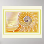 Nautilus Poster (Vorne)