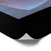 Nautilus-Poster Poster (Ecke)